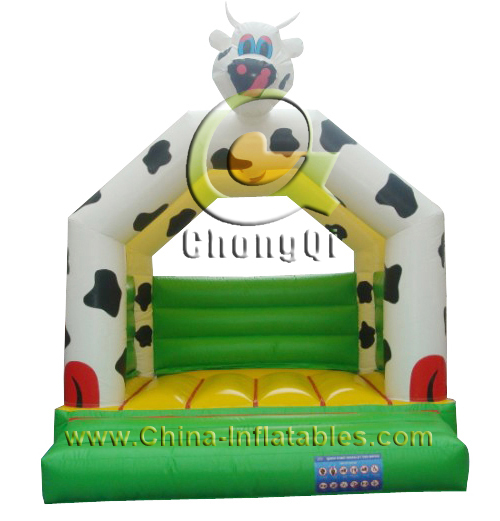 bouncer inflatable